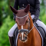 @alro.dressage - Instagram