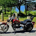 Al Rossi - @al.rossi.24 - Instagram