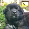 alrossi91877 - @alrossi91877 - TikTok