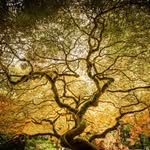 Al Schwartz - @aschwartzphotography - Instagram