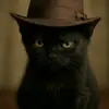 altsimms - @altsimms - TikTok