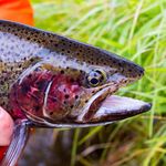 Al Simpson - @simpsonflyfishing - Instagram