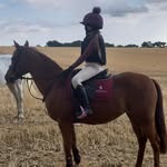 Alexa Spivey Equestrian - @_alexa.spivey - Instagram