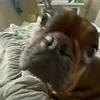 Allie :] - @allie.steffens - TikTok