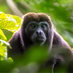 Al Stevens - @photos_by_al57 - Instagram