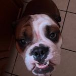 Alex Stroud - @astroud787 - Instagram