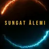 sungat alemi - @sungat_alemi2026 - TikTok