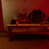 Bot.logic.tabor - @tabor.alt - TikTok