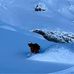 Alastair Tait - Facebook