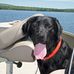Al Thibeault - Facebook