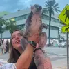 alyssathibeault - @alyssathibeault - TikTok