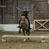 horsegirl_allie - @alliethibeault - TikTok