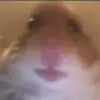altthong - @altthong - TikTok
