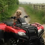 Althorne Farming - @althornefarming - Instagram
