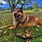 Almy Thurston Farm - @almythurstonfarm - Instagram