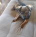 Alex Tischler - Facebook