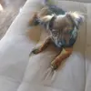 Alex Tischler - @alex.tischler7 - TikTok