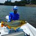 Alexander Tischler - Facebook