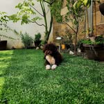Al Todd - @almiuxtodd - Instagram