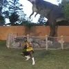 alfonso_tolbert - @alfonso_tolbert - TikTok