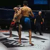 Ali Trainor - @alitrainor.1 - TikTok