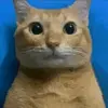 Altran - @altran2122 - TikTok