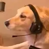 altran - @ximon120hz - TikTok