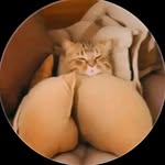 al travis - @travis.al - Instagram