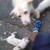 AL Tsai - Facebook