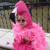 Alice - @alieullman - TikTok