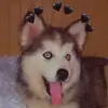 alana_urban_B_12 - @alanaurban_12 - TikTok