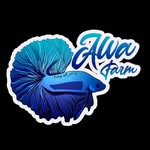 Alva Betta Farm - @alva.farm - Instagram