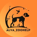 Приют Alva_Zoohelp - @alva_zoohelp.krg - Instagram