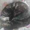 Alvaz.fr - @alvaz.fr - TikTok