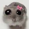 Aleventurini - @ale.venturini - TikTok