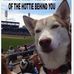 Al Vick - Facebook
