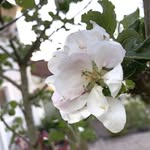 Alva Ström - @alvos.s - Instagram