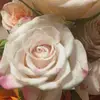 ..alward - @..alward - TikTok