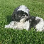 Anni Bennett Warfield - @alwarfield61 - Instagram