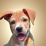 Laraine - @alwarfield454 - Instagram