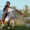 al weinstein - @al.weinstein - TikTok