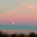 @al_weisky_ - Instagram