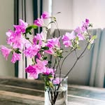 health + bliss - @allwellandswell - Instagram
