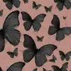 Alywelsh - @alywelsh - TikTok