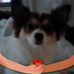 Alvin Wheat - Facebook