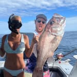 Allister Whiting - @allisterwhiting - Instagram