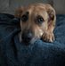 Alexander Whitney - Facebook