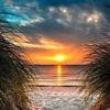 Al Whitten - @al.whitten - TikTok