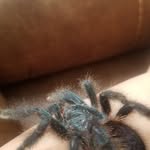 Al Wiggins - @al.wiggins.777 - Instagram