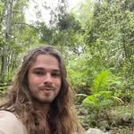 Alex Wilton - @alexwiltonart - Instagram